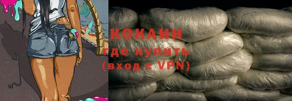 прущие грибы Армянск