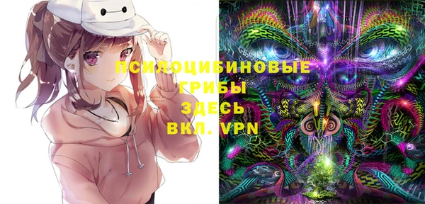 прущие грибы Армянск