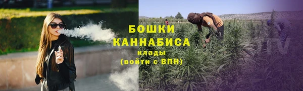 прущие грибы Аркадак