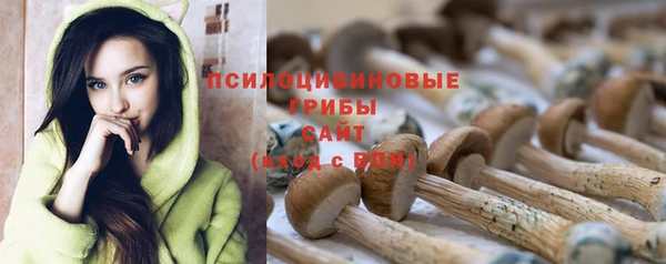 тгк Арсеньев