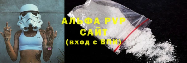 прущие грибы Аркадак