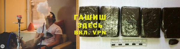 прущие грибы Армянск