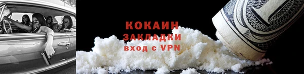 прущие грибы Армянск