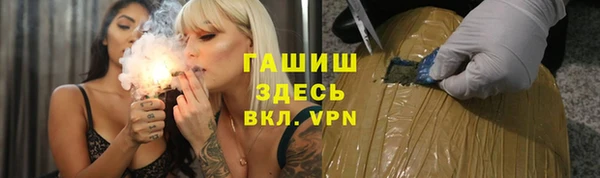 прущие грибы Аркадак