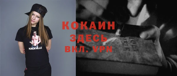 прущие грибы Армянск