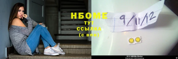 прущие грибы Аркадак