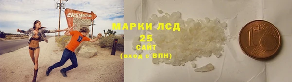 прущие грибы Аркадак