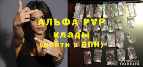 прущие грибы Армянск