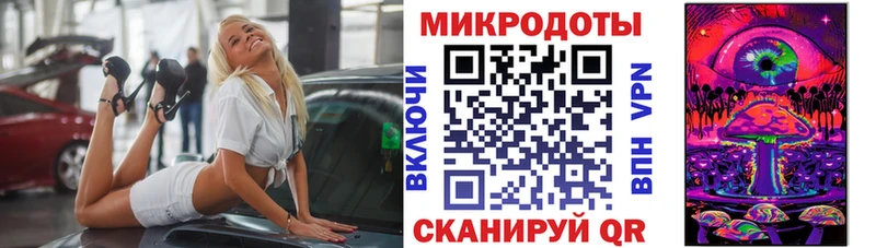 Галлюциногенные грибы Psilocybe Мураши